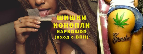дмт Пестово