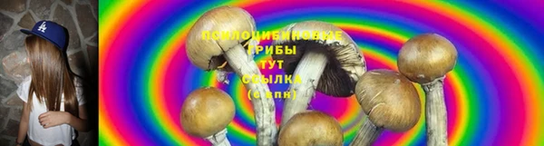 марки lsd Инсар