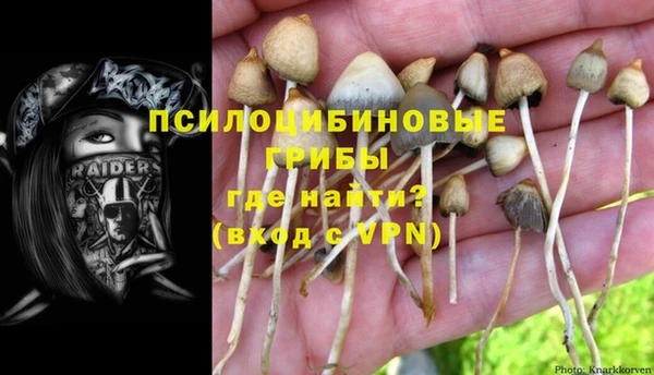 марки lsd Инсар
