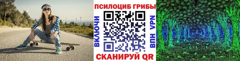 Псилоцибиновые грибы Magic Shrooms  Купить где  Волоколамск 
